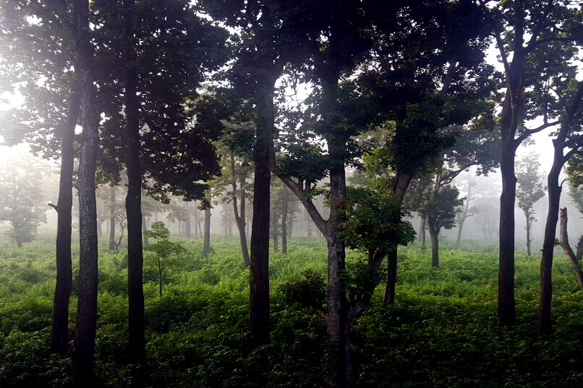 काँकडभिट्टा–इनरुवा रेलमार्ग निर्माणको काम डेढ वर्षदेखि अलपत्र